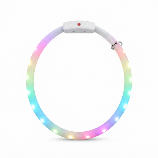 USB Rechargeable LED Dog Collar