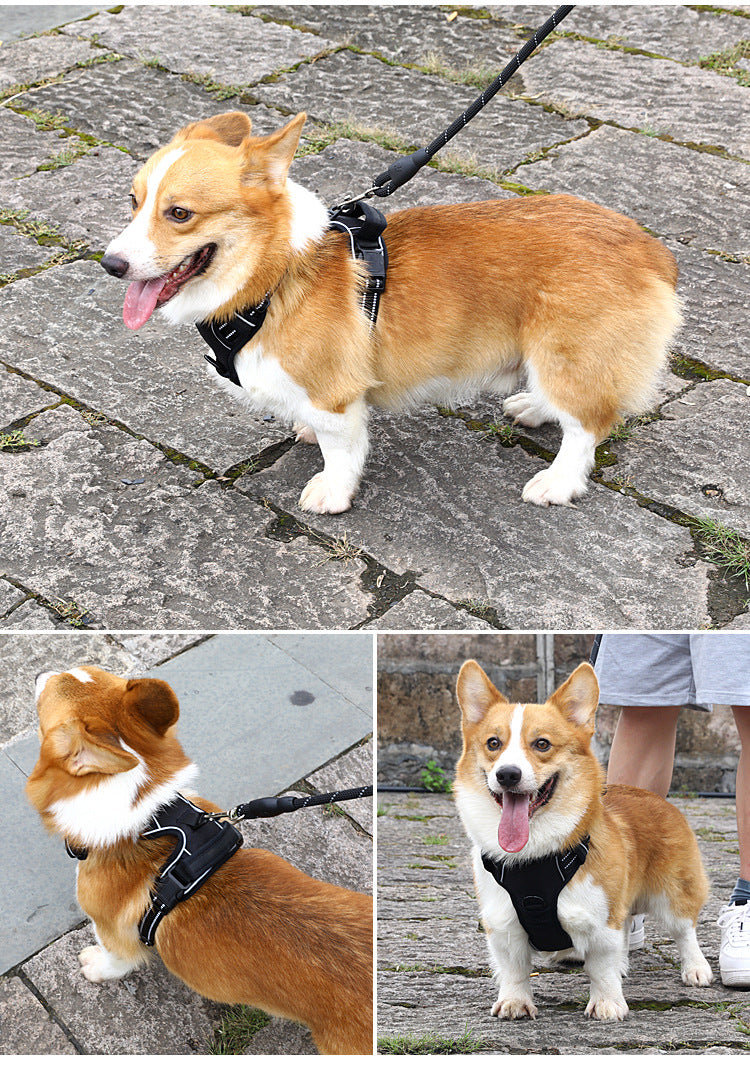 Breathable Dog Harness